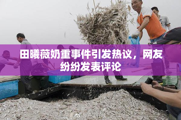 田曦薇奶重事件引发热议，网友纷纷发表评论