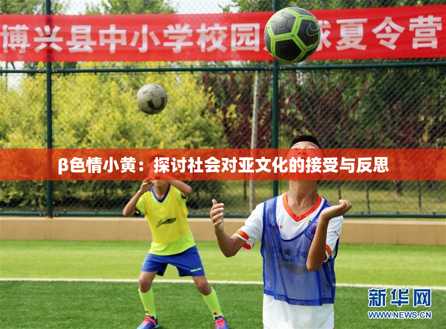 β色情小黄：探讨社会对亚文化的接受与反思