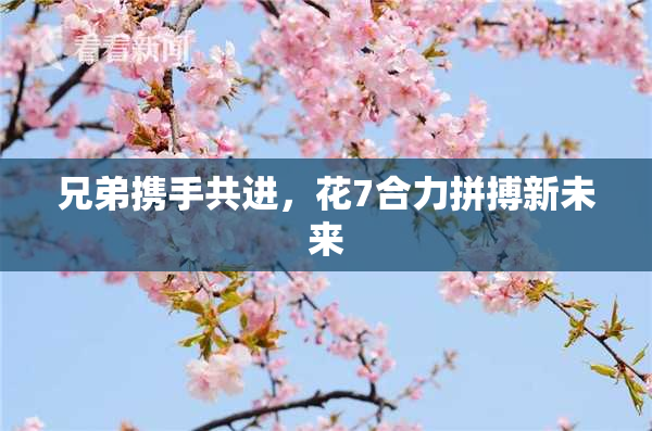 兄弟携手共进，花7合力拼搏新未来