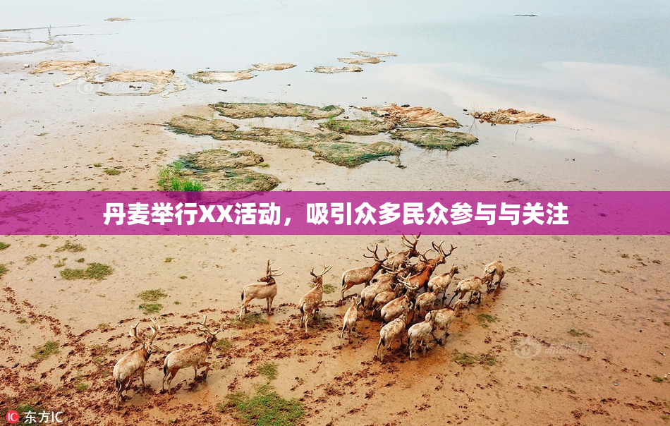 丹麦举行XX活动，吸引众多民众参与与关注