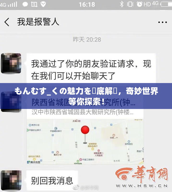 もんむす_くの魅力を徹底解説，奇妙世界等你探索！