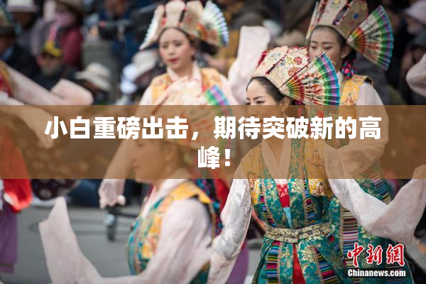 小白重磅出击，期待突破新的高峰！