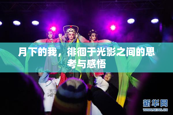 月下的我，徘徊于光影之间的思考与感悟