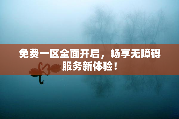 免费一区全面开启，畅享无障碍服务新体验！