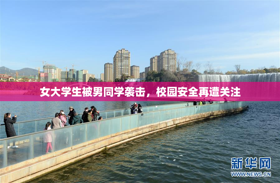 女大学生被男同学袭击，校园安全再遭关注