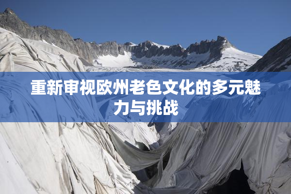 重新审视欧州老色文化的多元魅力与挑战