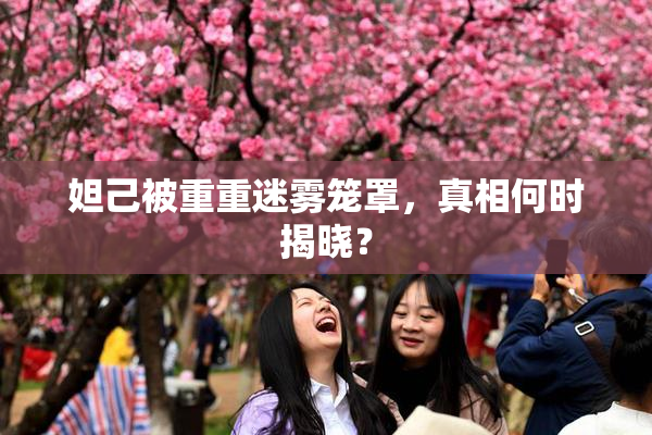 妲己被重重迷雾笼罩，真相何时揭晓？