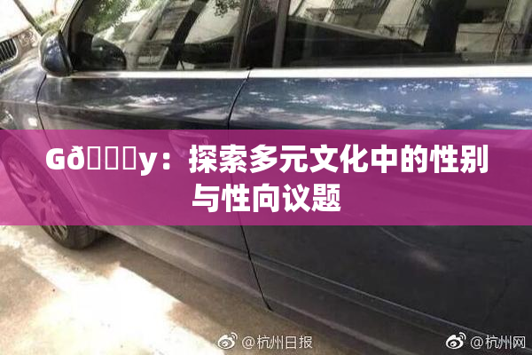 G🈚y：探索多元文化中的性别与性向议题