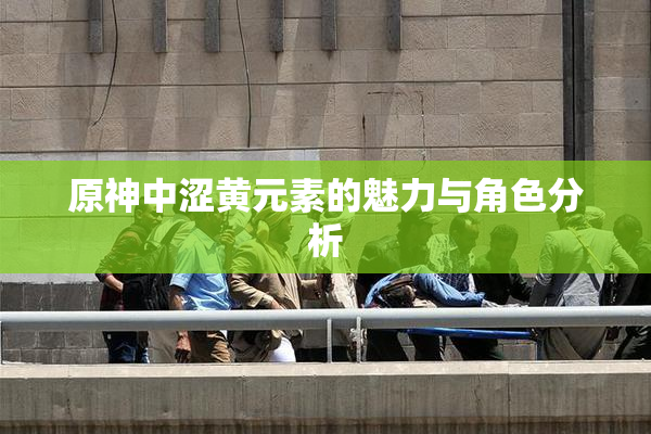 原神中涩黄元素的魅力与角色分析