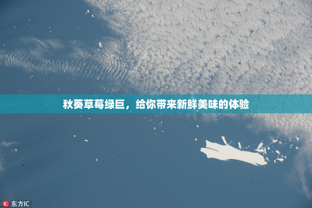 秋葵草莓绿巨，给你带来新鲜美味的体验