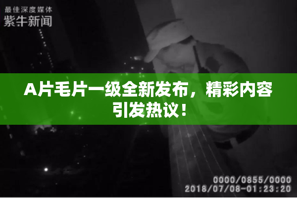 A片毛片一级全新发布，精彩内容引发热议！