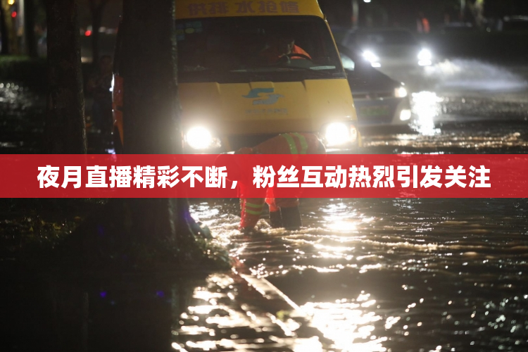 夜月直播精彩不断，粉丝互动热烈引发关注