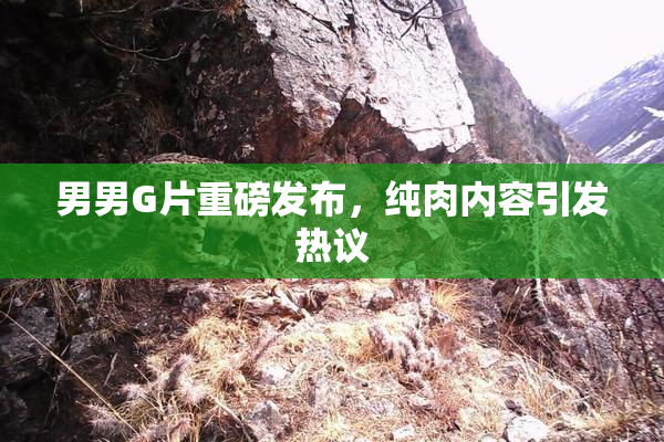 男男G片重磅发布，纯肉内容引发热议