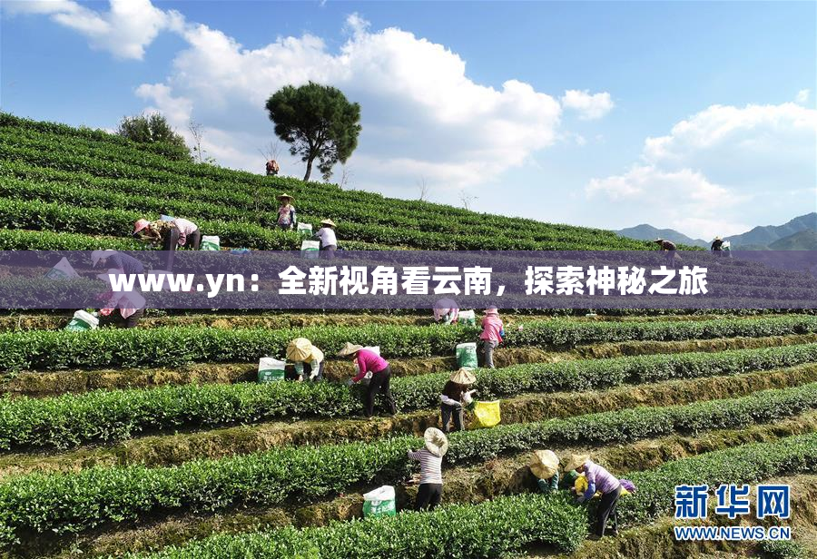 www.yn：全新视角看云南，探索神秘之旅