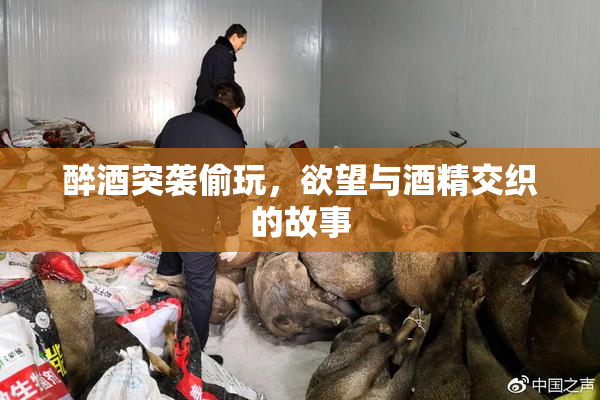 醉酒突袭偷玩，欲望与酒精交织的故事
