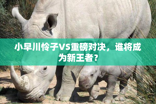 小早川怜子VS重磅对决，谁将成为新王者？