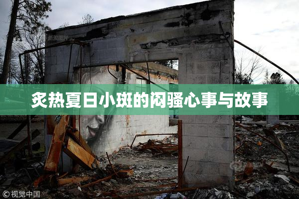 炙热夏日小斑的闷骚心事与故事