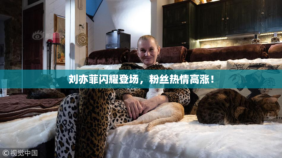 刘亦菲闪耀登场，粉丝热情高涨！