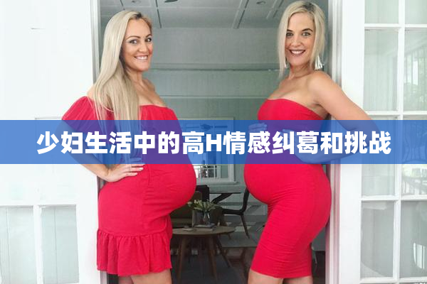 少妇生活中的高H情感纠葛和挑战