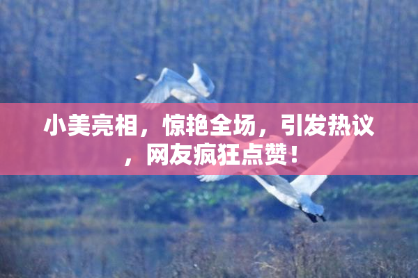 小美亮相，惊艳全场，引发热议，网友疯狂点赞！