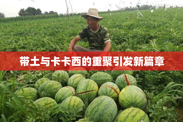 带土与卡卡西的重聚引发新篇章