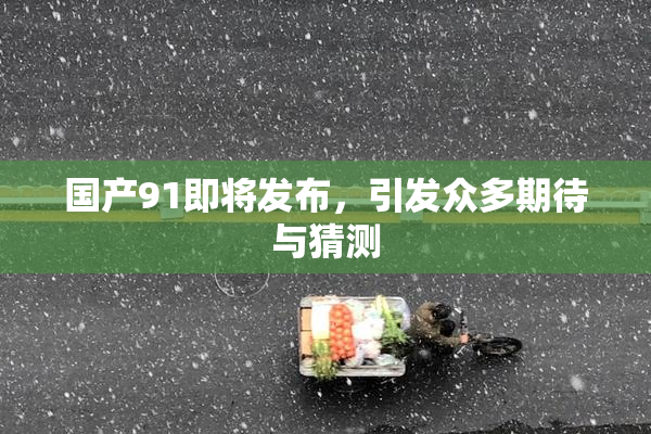 国产91即将发布，引发众多期待与猜测
