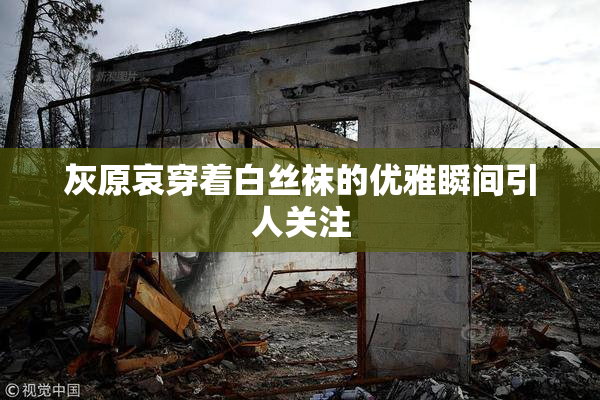灰原哀穿着白丝袜的优雅瞬间引人关注