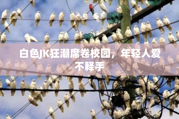 白色JK狂潮席卷校园，年轻人爱不释手