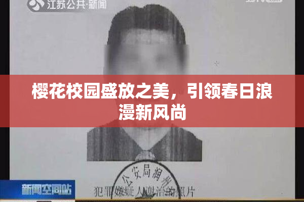 樱花校园盛放之美，引领春日浪漫新风尚