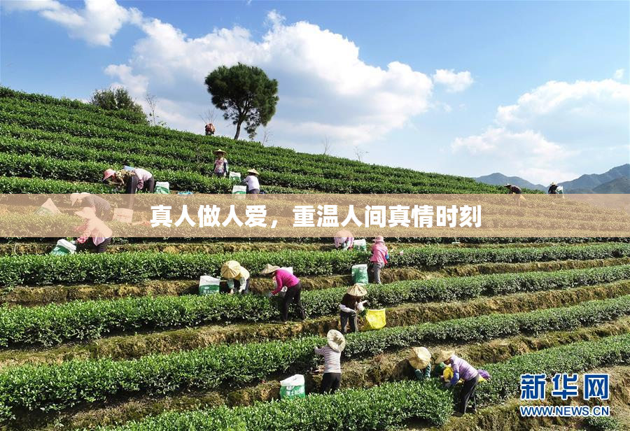 真人做人爱，重温人间真情时刻