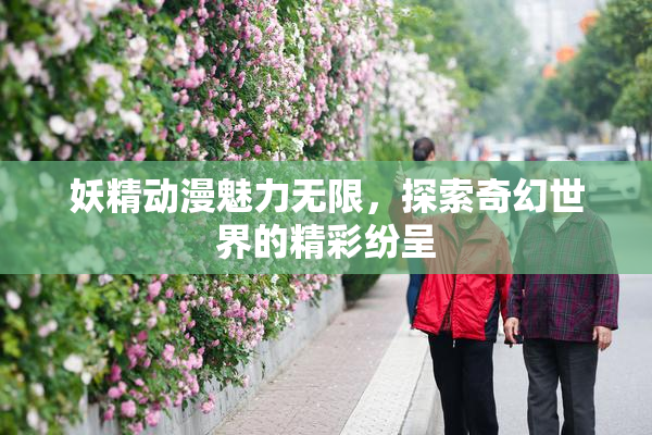 妖精动漫魅力无限，探索奇幻世界的精彩纷呈