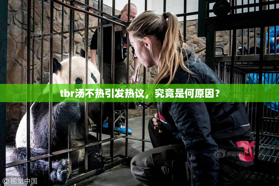 tbr汤不热引发热议，究竟是何原因？