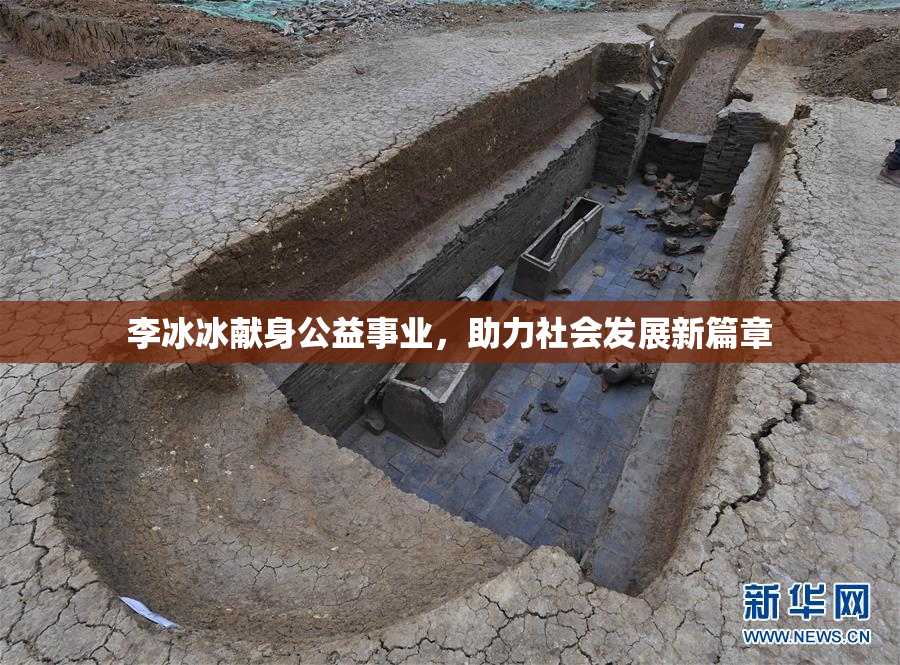 李冰冰献身公益事业，助力社会发展新篇章