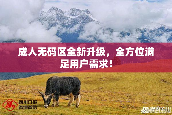 成人无码区全新升级，全方位满足用户需求！