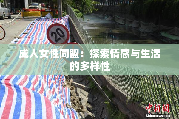 成人女性同盟：探索情感与生活的多样性