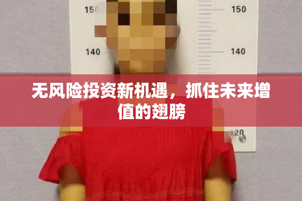 无风险投资新机遇，抓住未来增值的翅膀