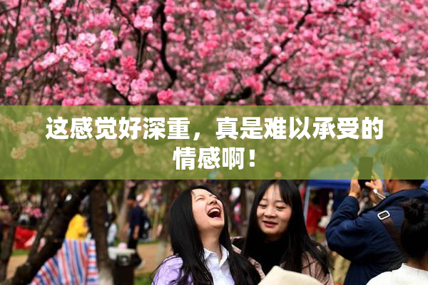 这感觉好深重，真是难以承受的情感啊！