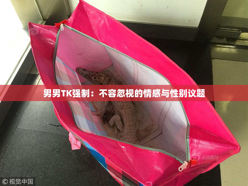 男男TK强制：不容忽视的情感与性别议题
