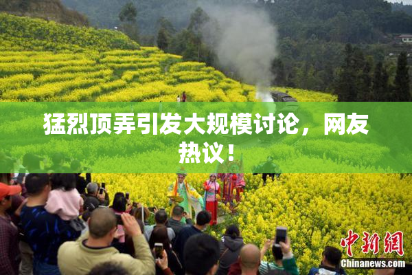 猛烈顶弄引发大规模讨论，网友热议！