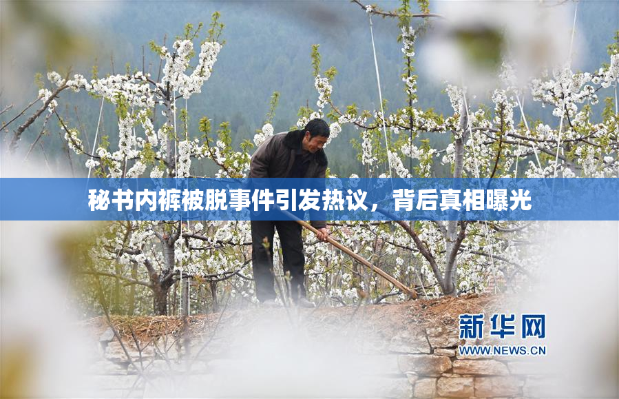 秘书内裤被脱事件引发热议，背后真相曝光