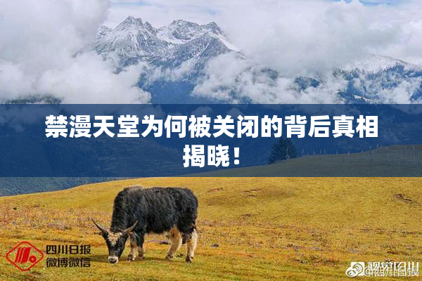 禁漫天堂为何被关闭的背后真相揭晓！