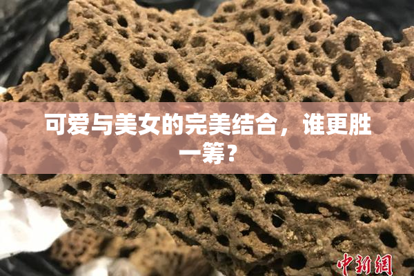 可爱与美女的完美结合，谁更胜一筹？