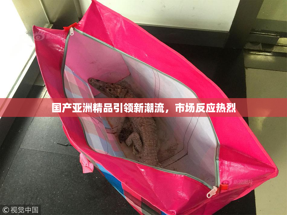国产亚洲精品引领新潮流，市场反应热烈