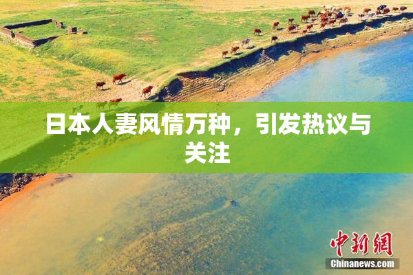 日本人妻风情万种，引发热议与关注