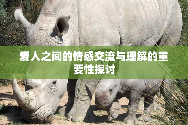 爱人之间的情感交流与理解的重要性探讨