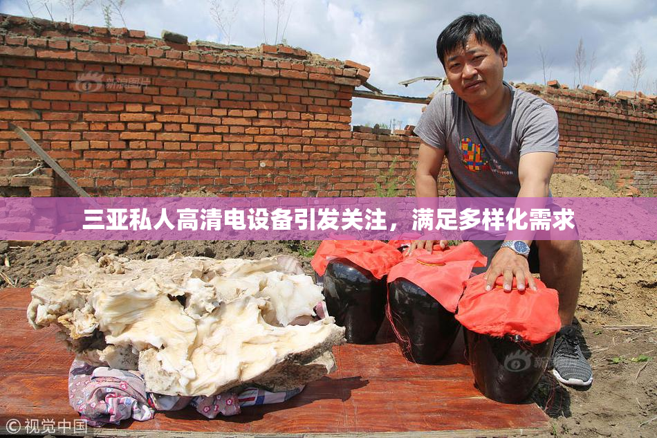 三亚私人高清电设备引发关注，满足多样化需求