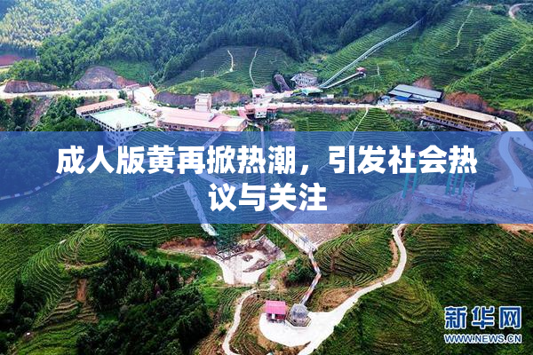 成人版黄再掀热潮，引发社会热议与关注