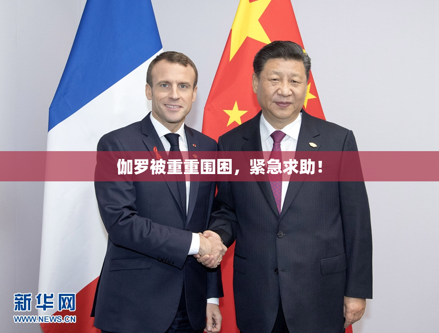 伽罗被重重围困，紧急求助！