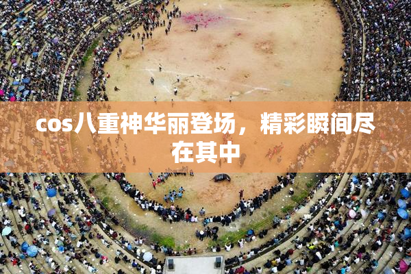 cos八重神华丽登场，精彩瞬间尽在其中