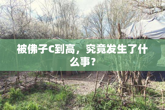 被佛子C到高，究竟发生了什么事？